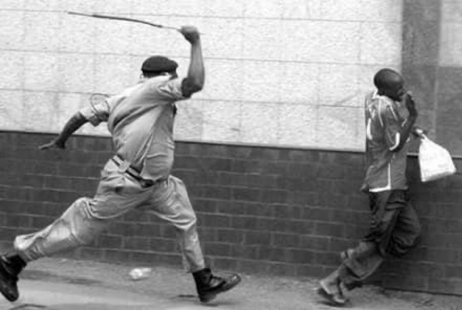 Big Sam | Social media marketing 🎯 tweet media