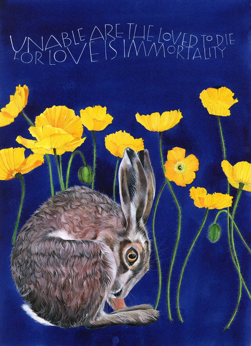 Sam Cannon Art tweet media