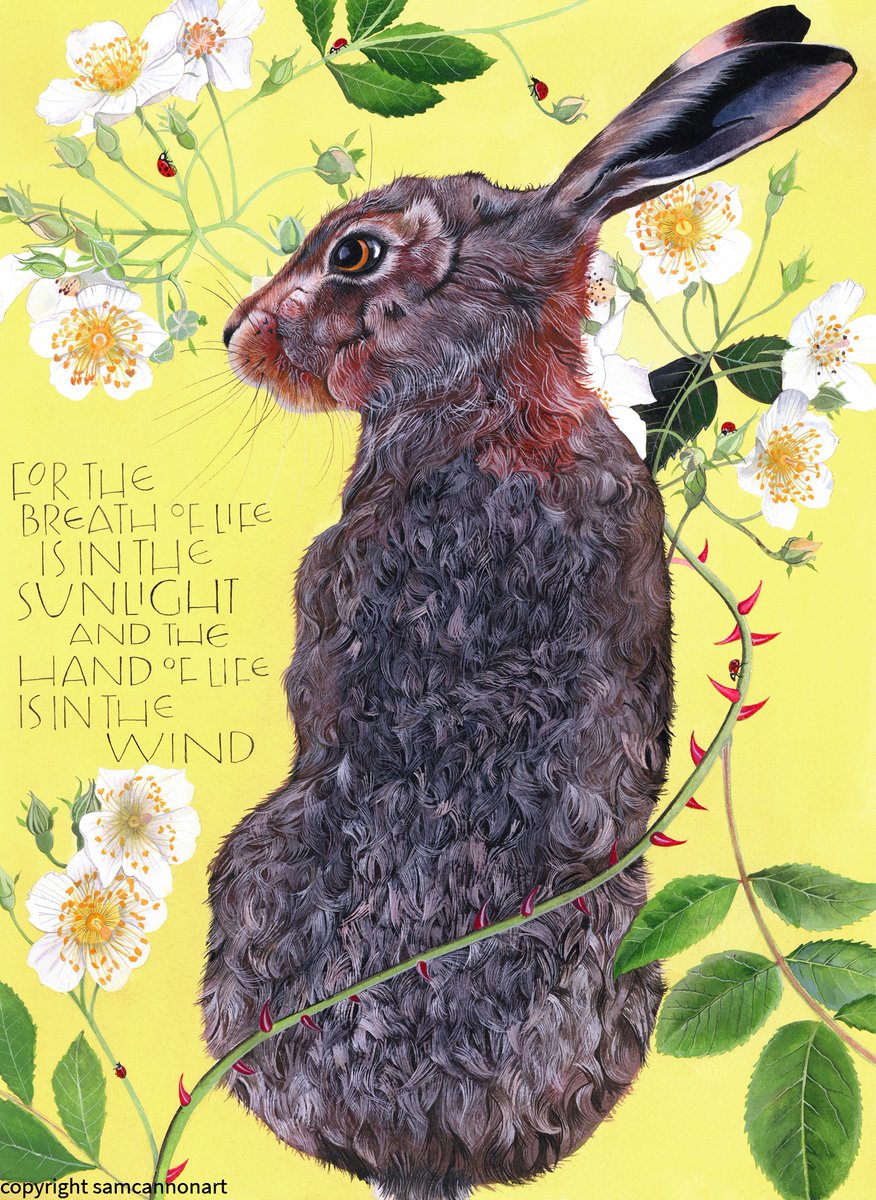 Sam Cannon Art tweet media