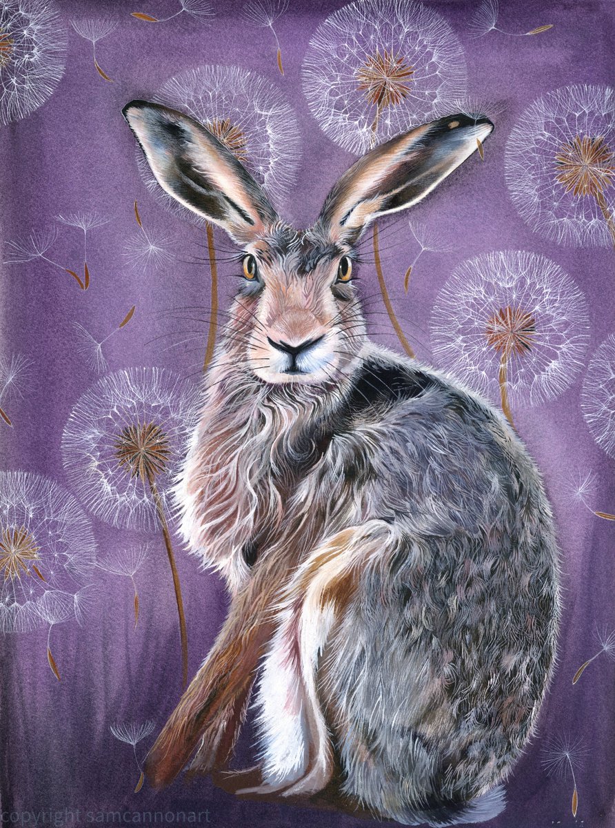 Sam Cannon Art tweet media