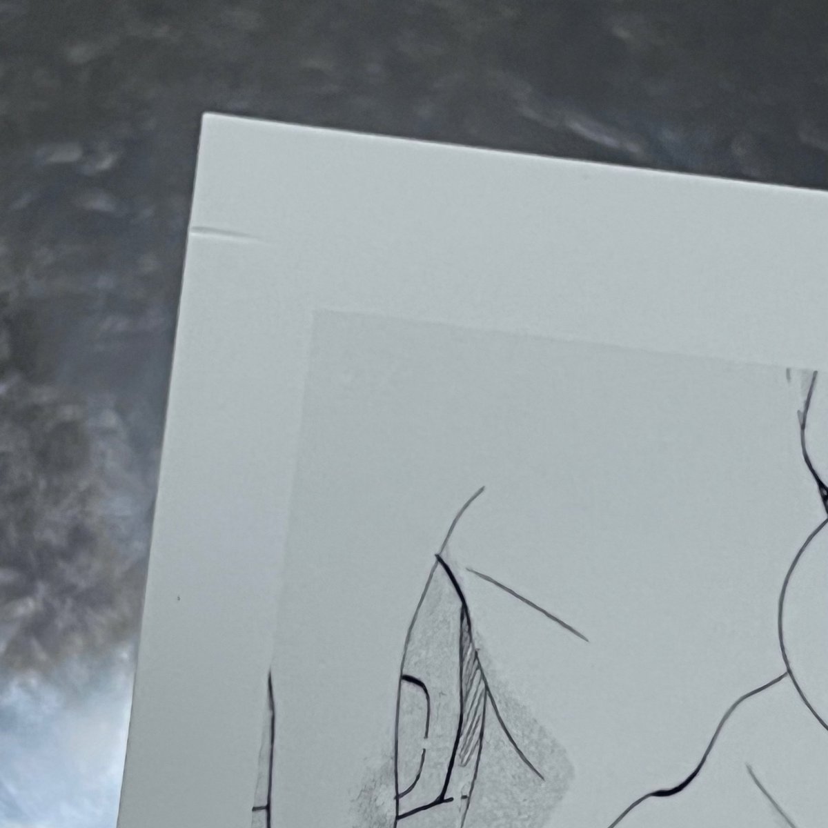 りんご tweet media