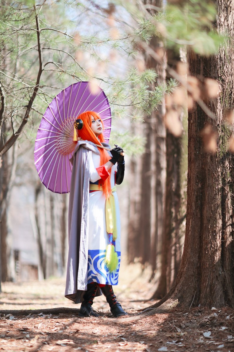 앵무🦜 tweet media