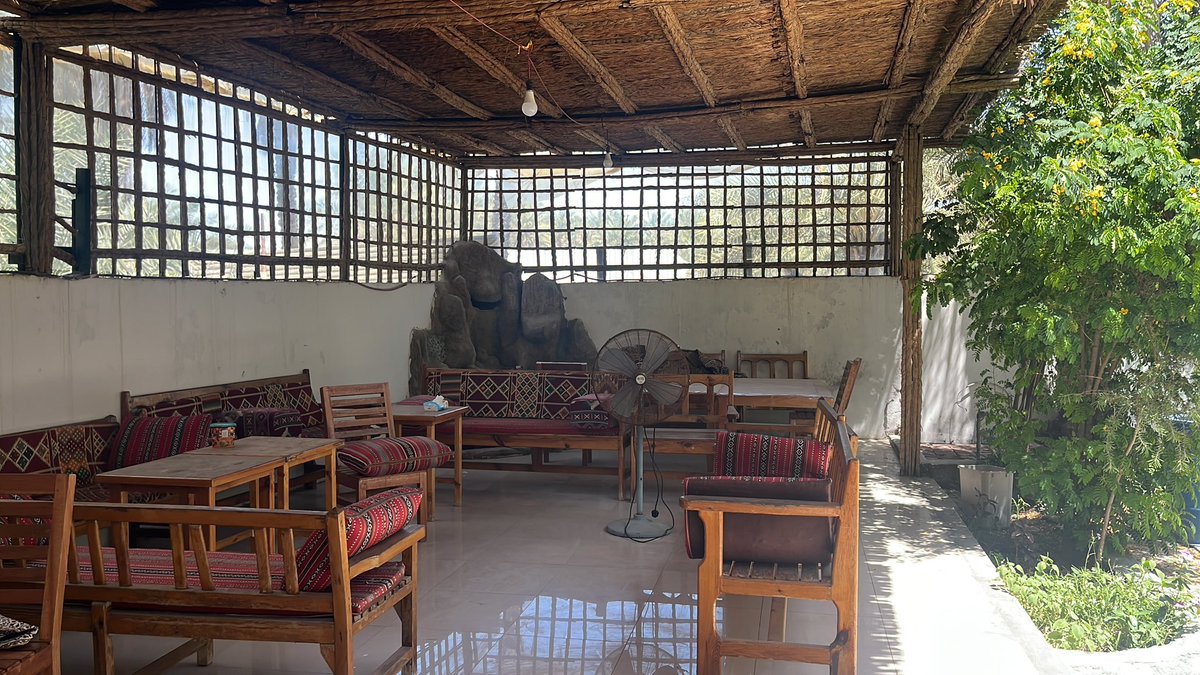 alahsa Tourism tweet media