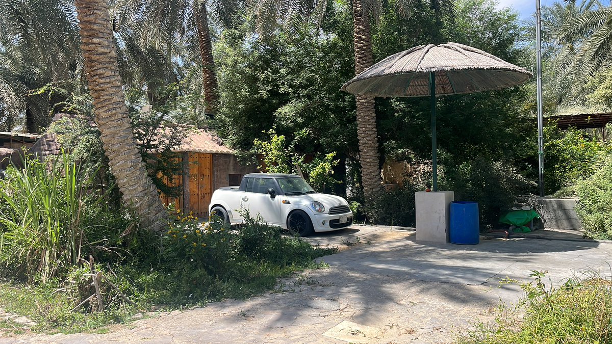 alahsa Tourism tweet media