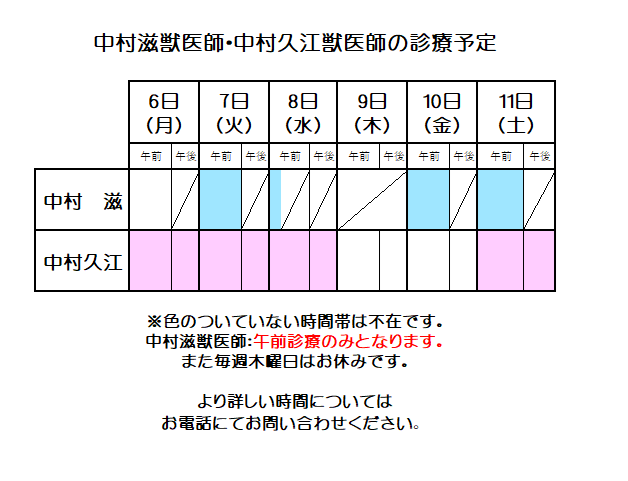 nakavets's tweet photo. 来週の中村滋獣医師、中村久江獣医師の診療予定はこのようになっております。              表の色のついていない時間帯は不在です。            急な変更もございますので、当日お電話でのご確認をお勧めいたします。 https://t.co/mjso9BFpdS