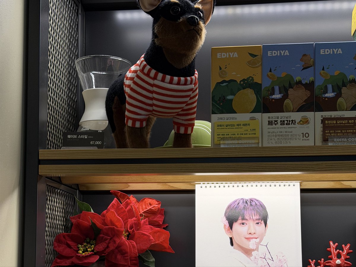 인천의 자랑 으웅아 생일 ㅊㅋ한다잉,,,
#HAPPY_LEW_DAY