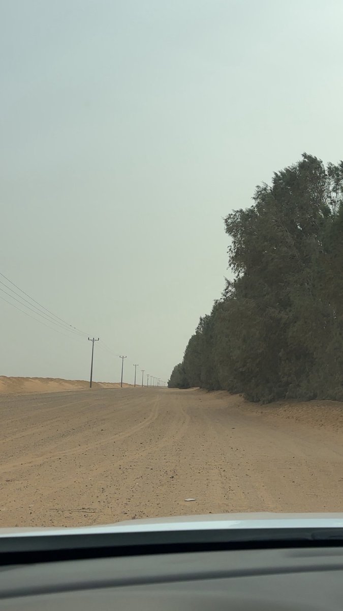 سلم على اللي يقول انه على مايرام
ويضحك لو ان الليالي زقمها ملتوي"