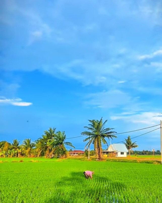 SHA~🇲🇾❤️🇹🇷 ~DM=BLOCK⛔️ tweet media