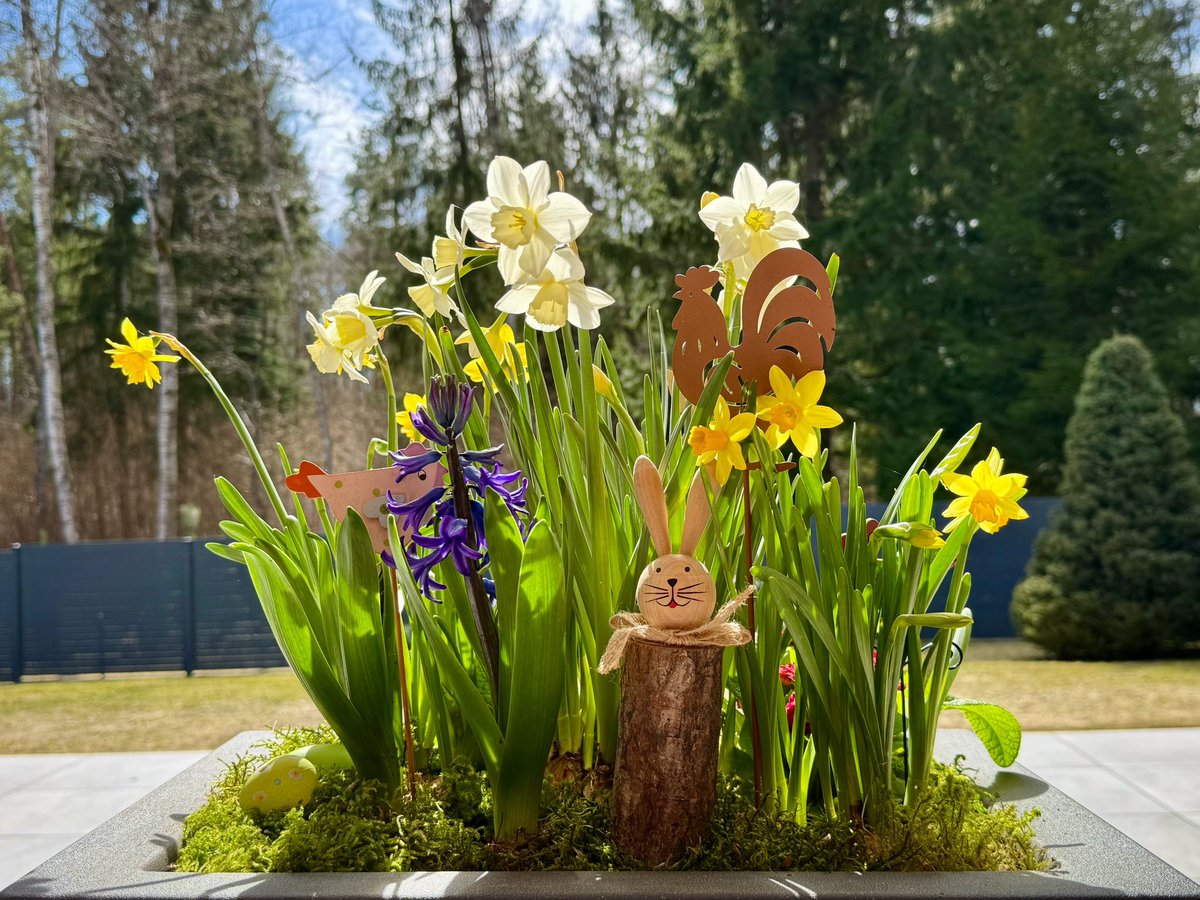 Dalia Grybauskaitė tweet media