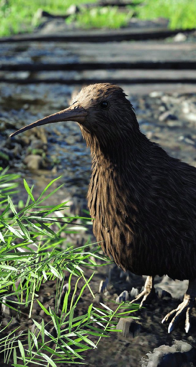 Crimson Desert

PS5Pro.