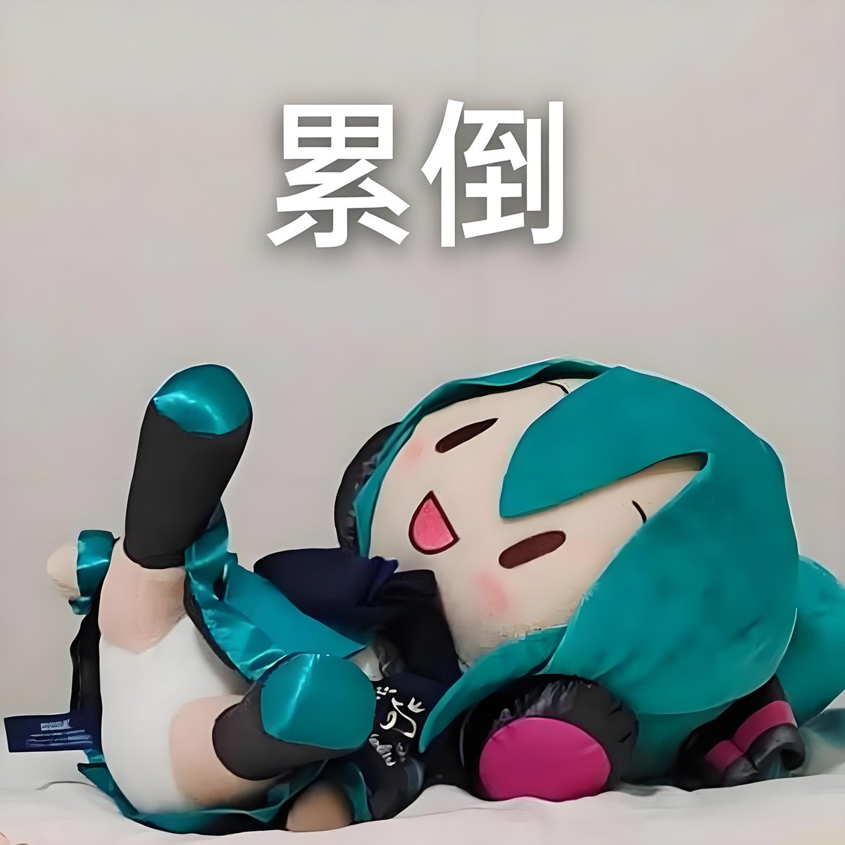 极限电波 tweet media