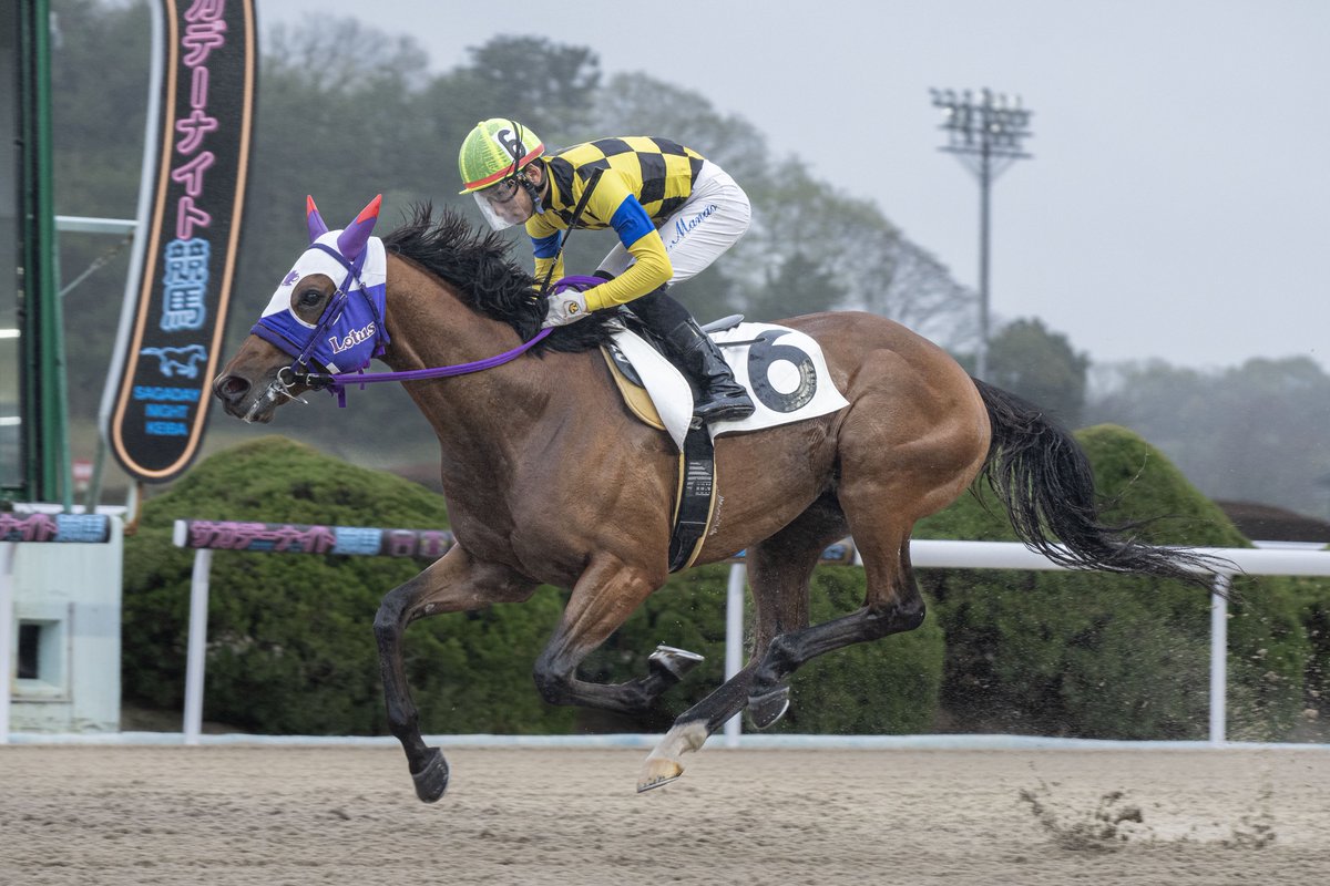 さがけいば(佐賀競馬場) tweet media