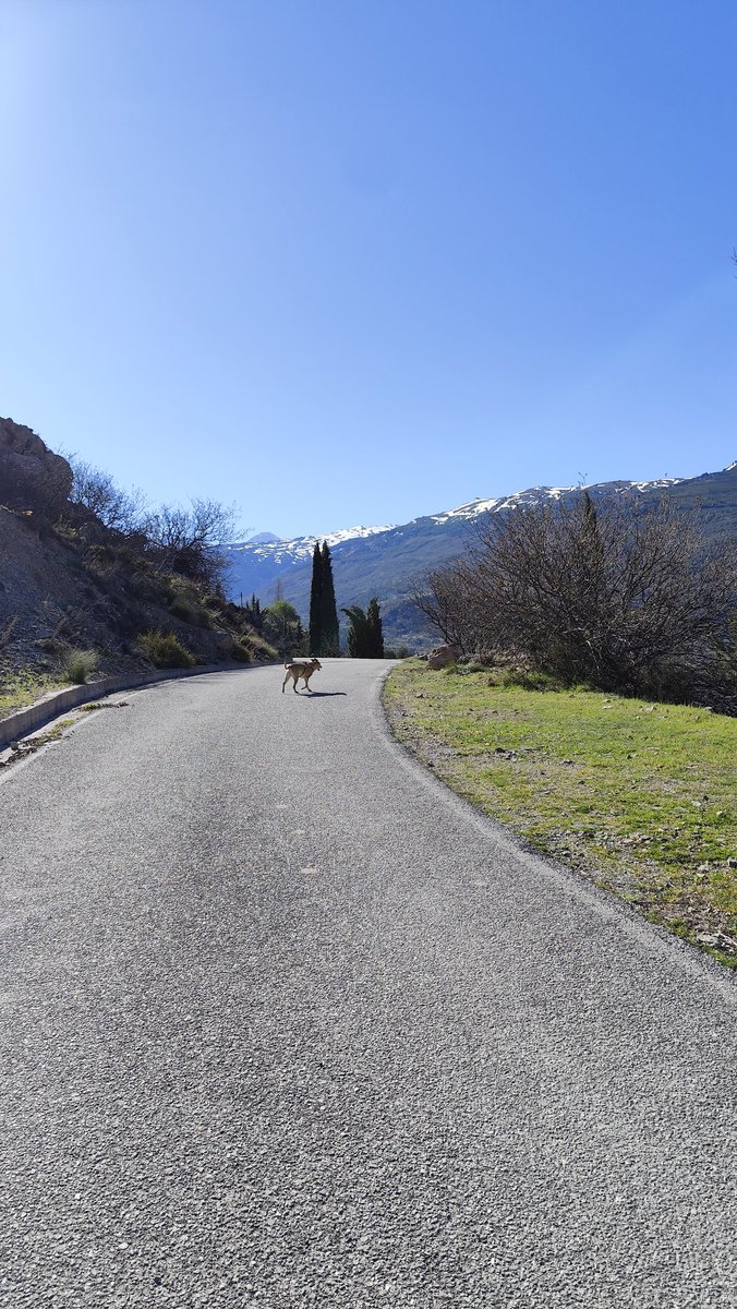 Ironhart tweet media