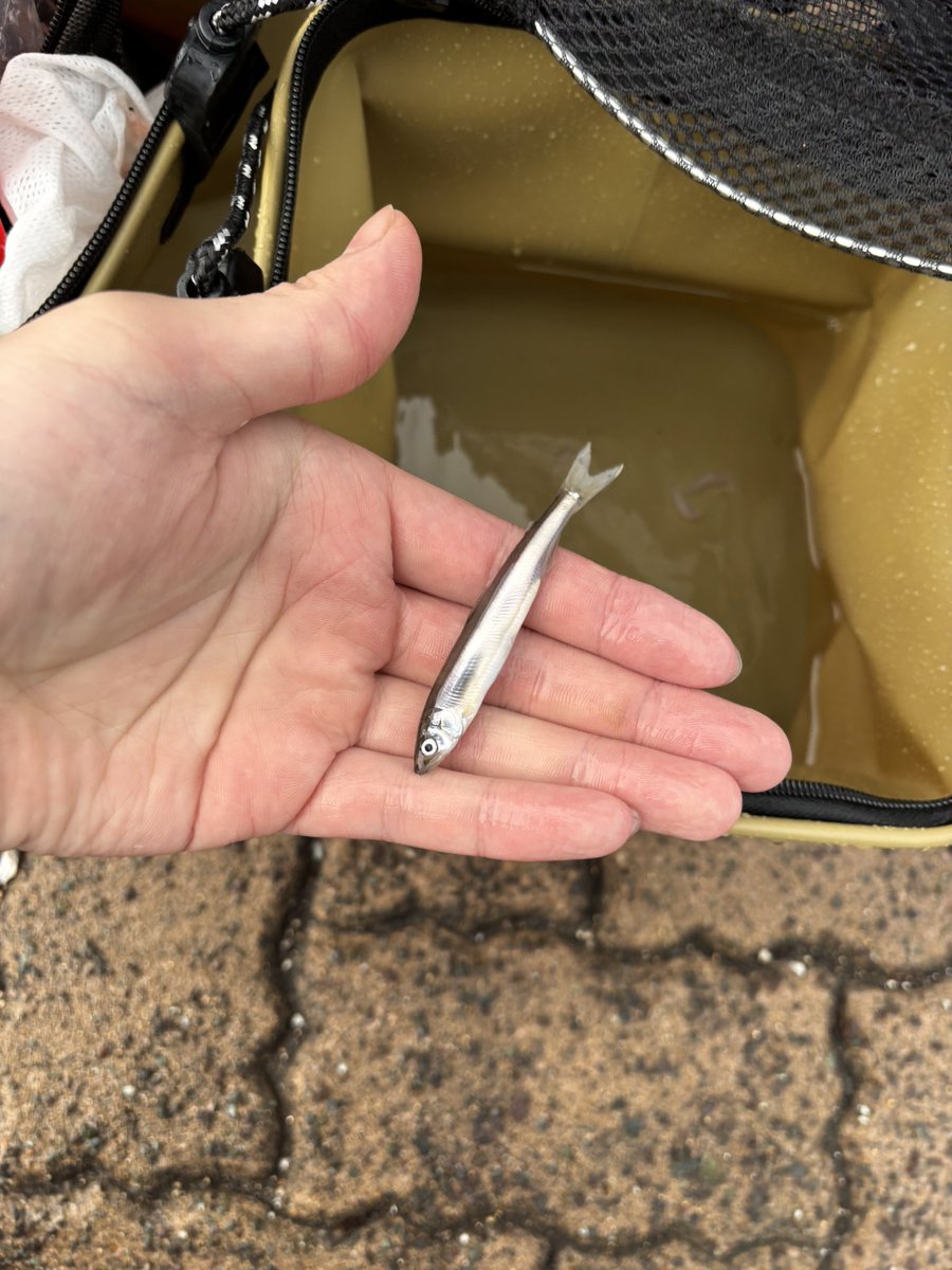 𝑺.𝑲_𝑬𝒖𝒓𝒐𝑹 tweet media