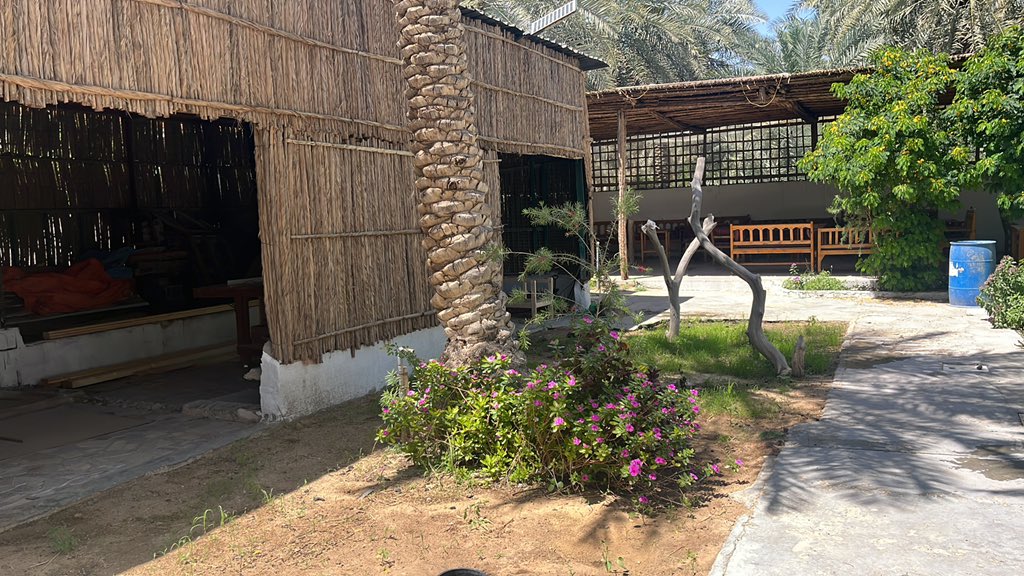 alahsa Tourism tweet media