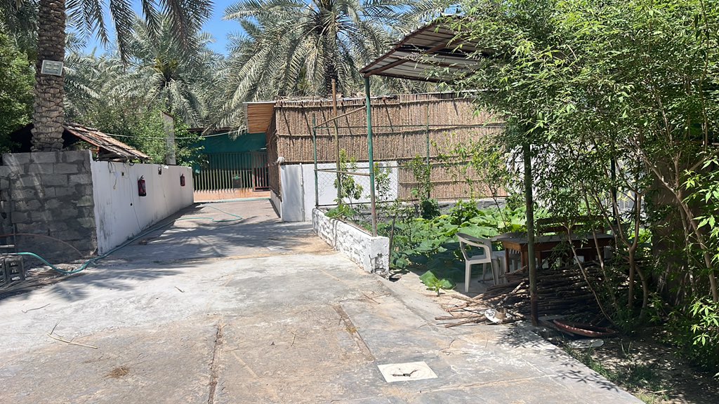 alahsa Tourism tweet media