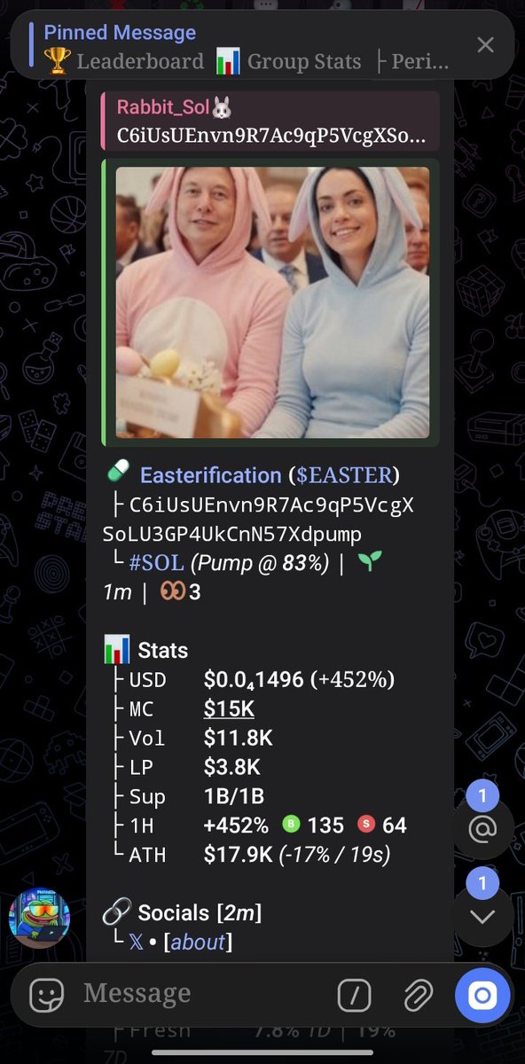 Rabbit_Sol🐰🇪🇬 tweet media