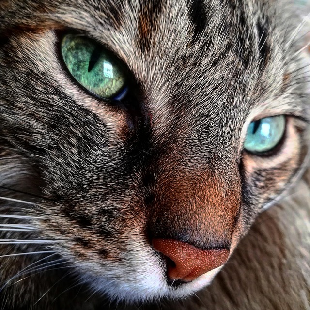 Bronson Adaymiln tweet media