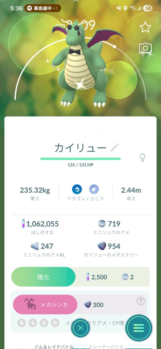 のらいぬ🐶 tweet media