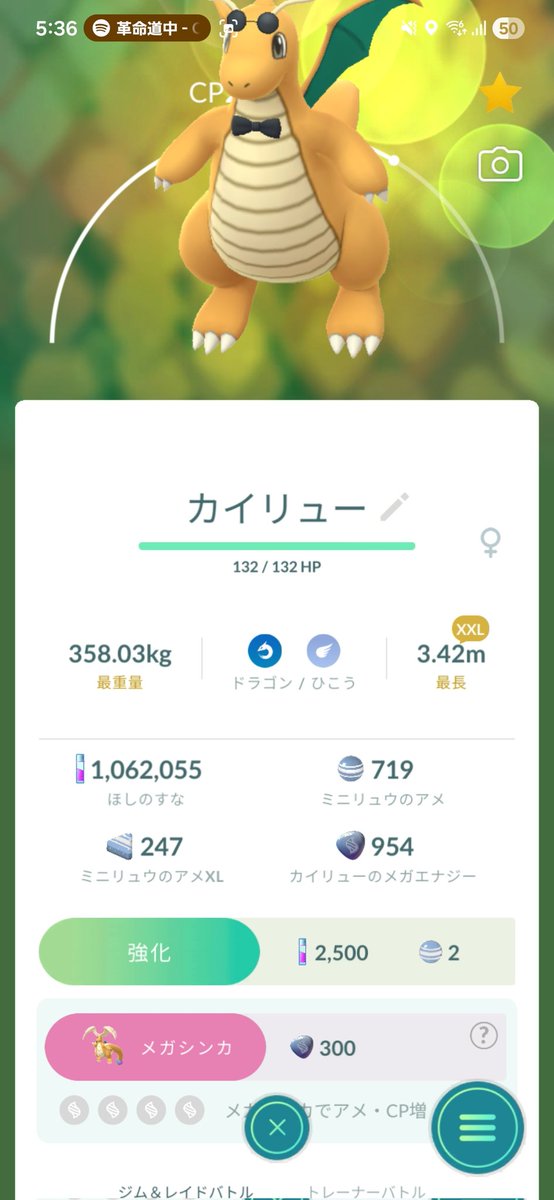 のらいぬ🐶 tweet media