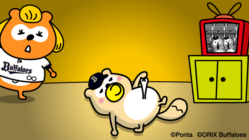 バファローズ☆ポンタ tweet media