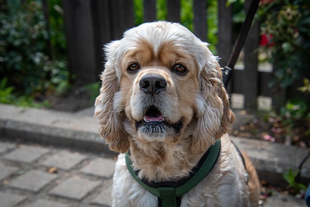 Allante Fusu tweet media