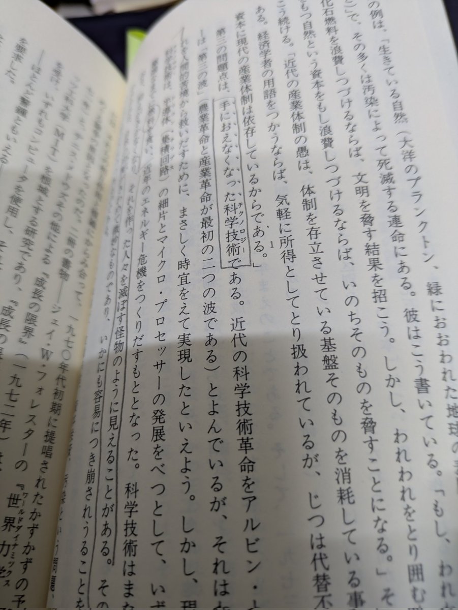 わらび tweet media