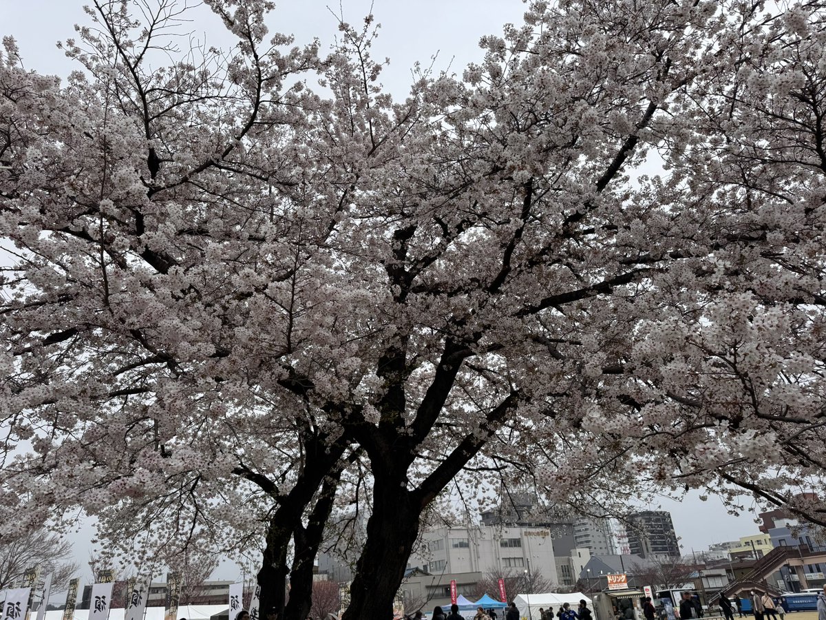 roro_maj7's tweet photo. 今週もうまかった〜 https://t.co/igz1jFTVsz
