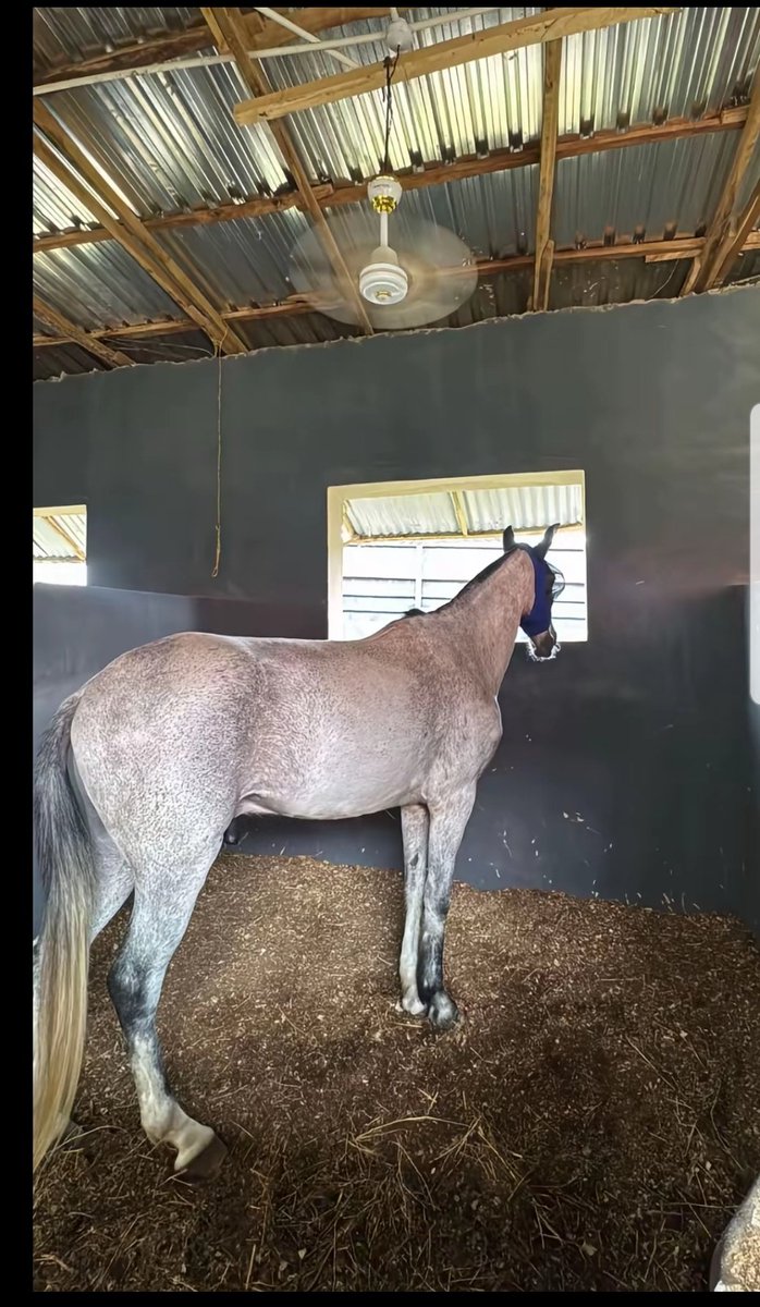 Alh Rayyy 🛞🔥 tweet media