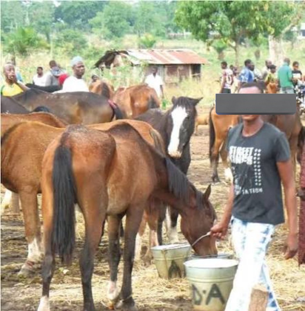 Alh Rayyy 🛞🔥 tweet media