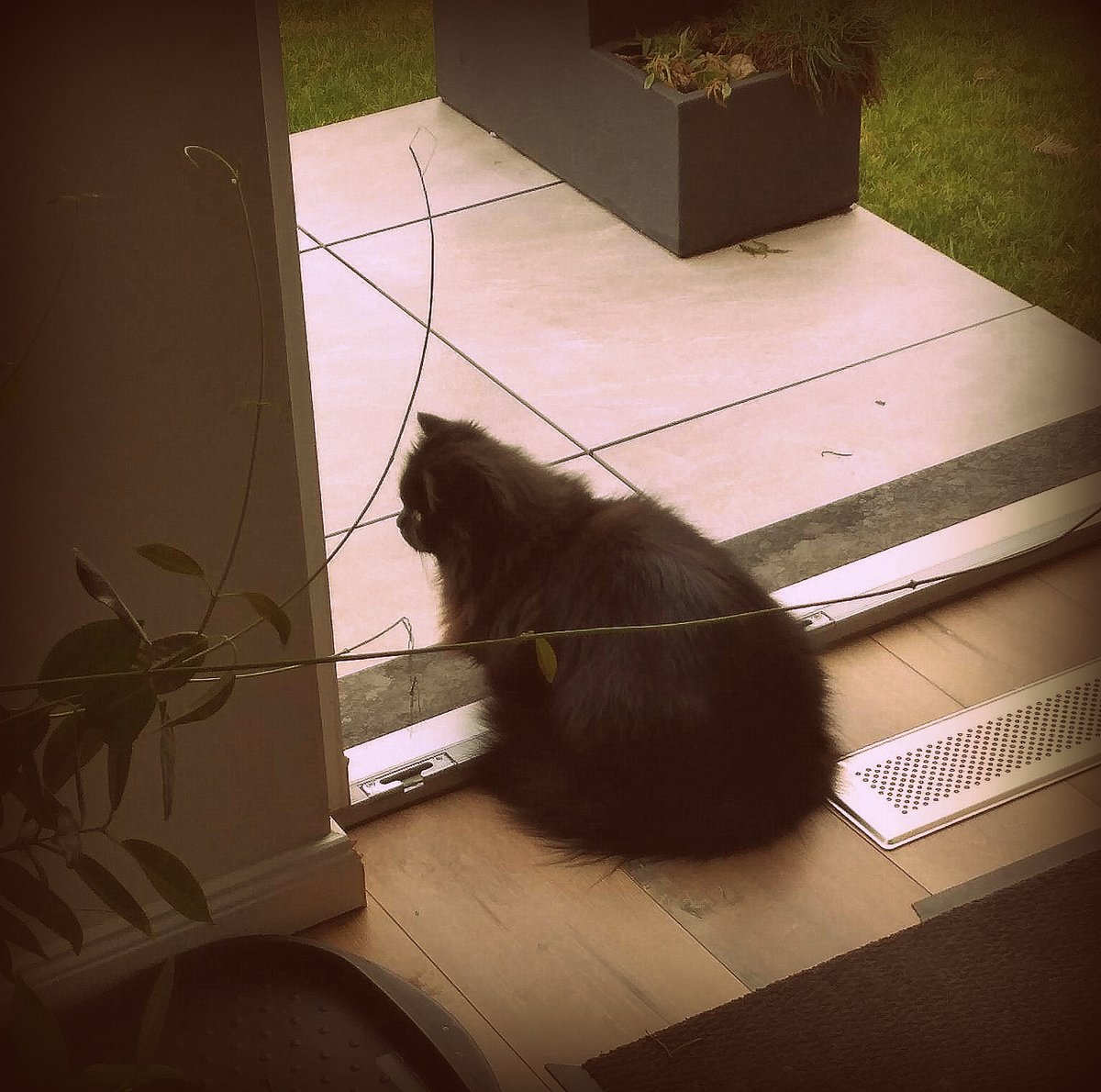 Andreas Moser tweet media