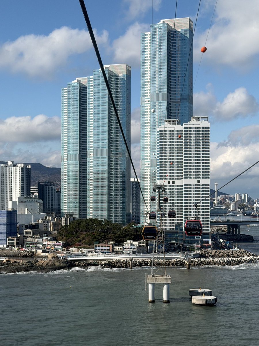 Taylor Bybee tweet media