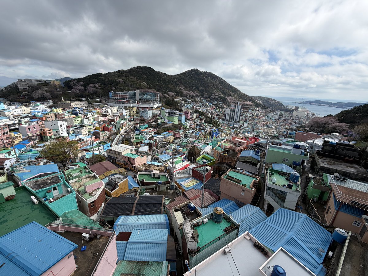 Taylor Bybee tweet media