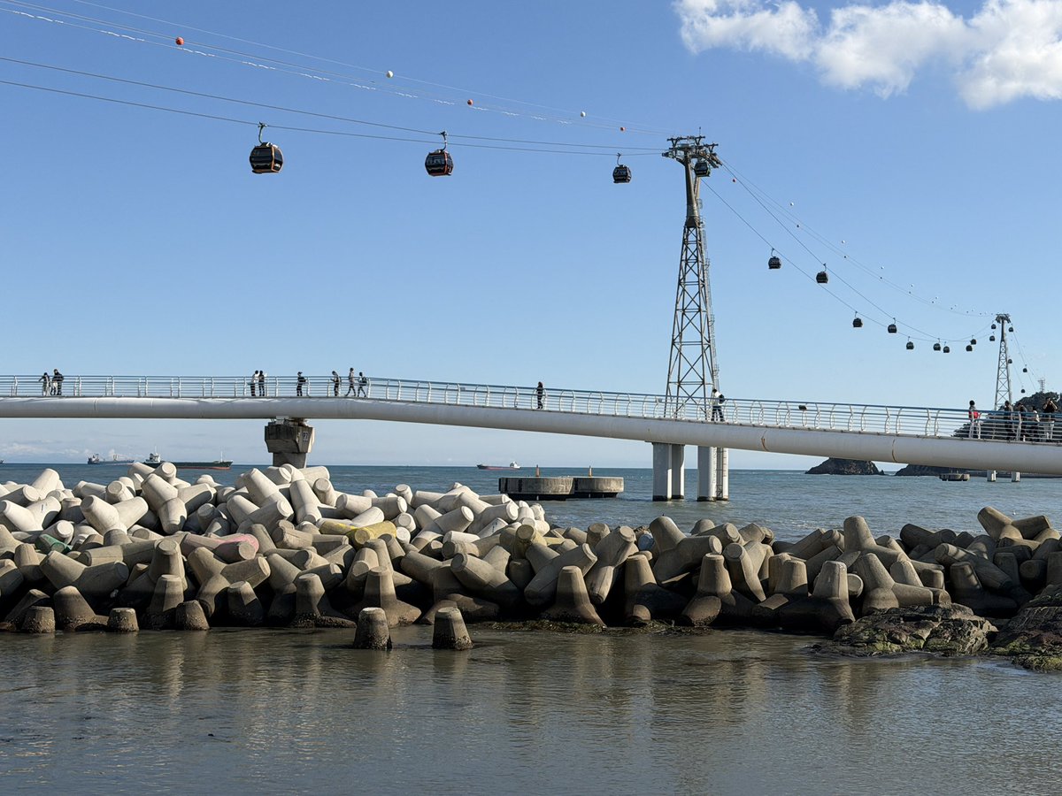 Taylor Bybee tweet media