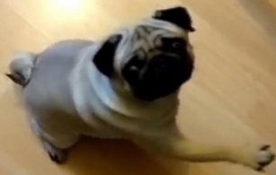 HeyYouWithTheFace tweet media