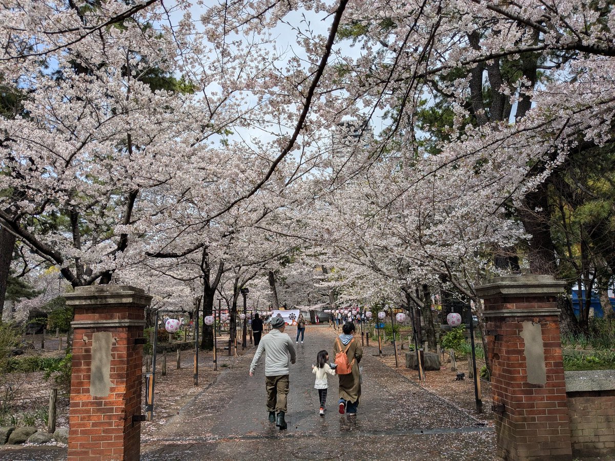 とんちゃん tweet media