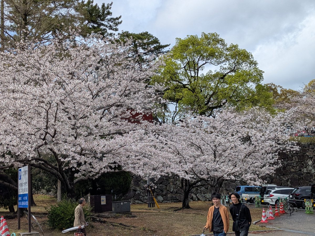 とんちゃん tweet media