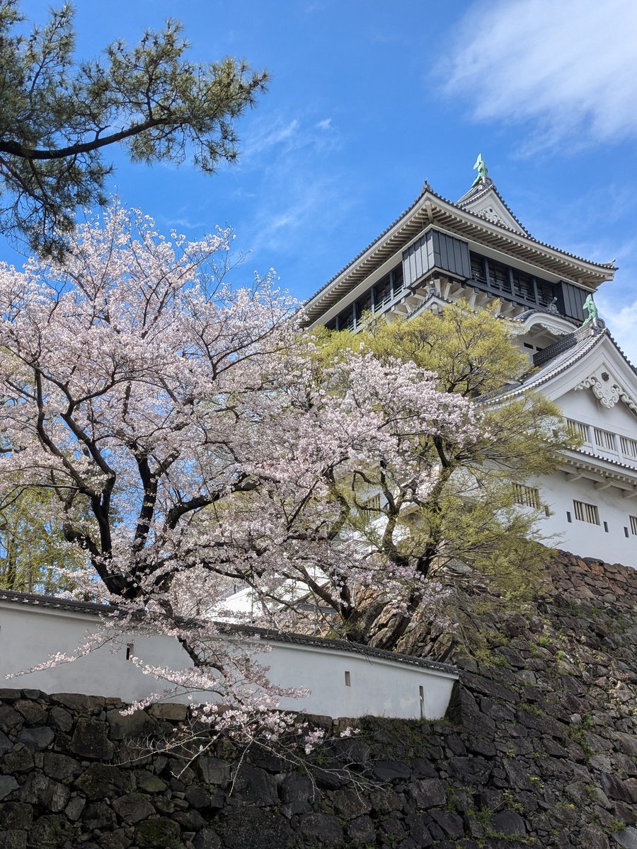 とんちゃん tweet media