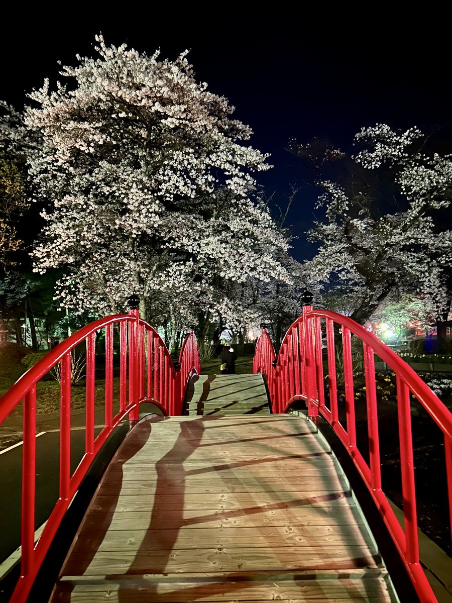烏ヶ森公園の夜桜です。 昼間に続いて夜もお花見の方で賑わってました
