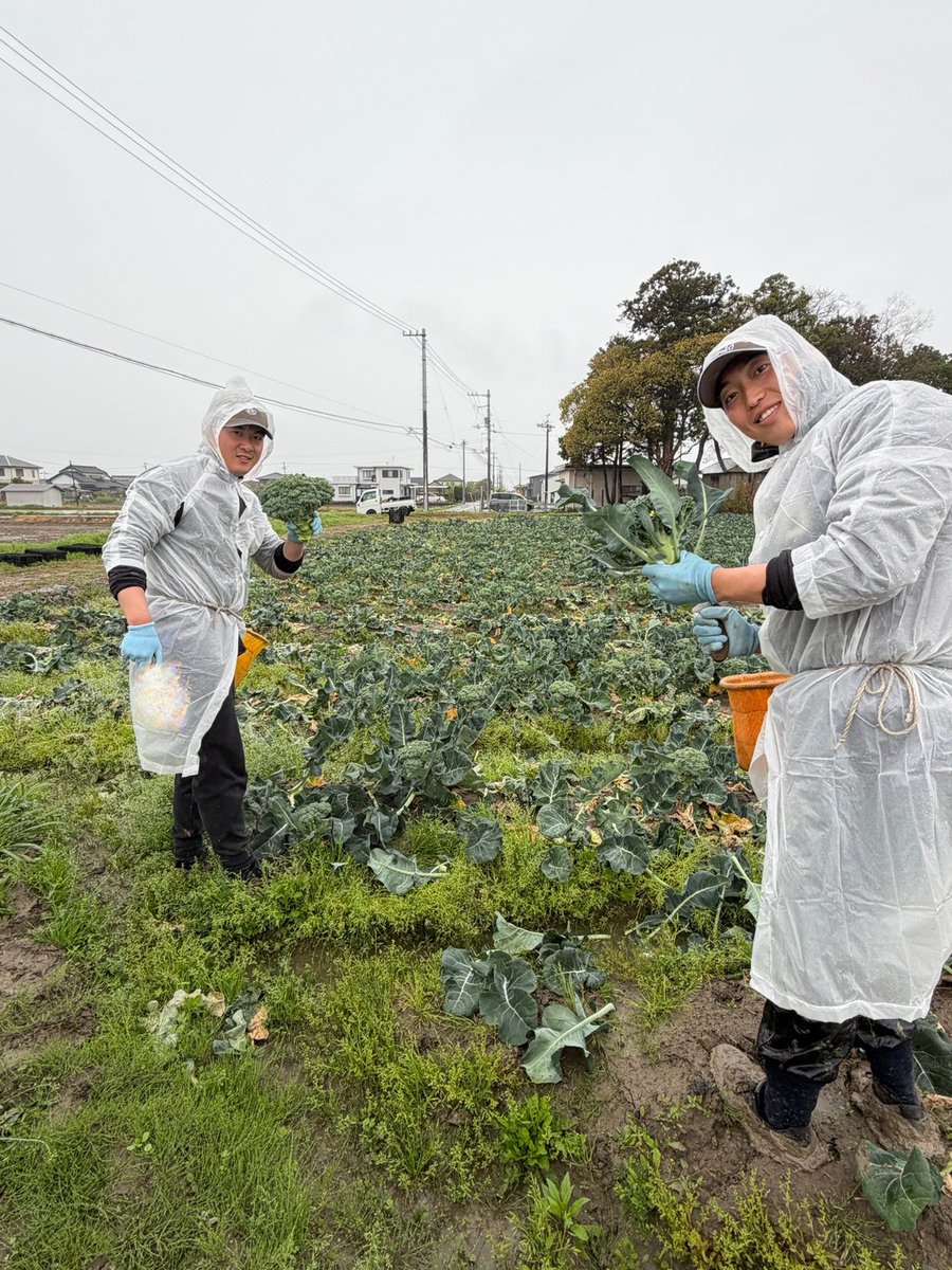 高知ファイティングドッグス ドッキー tweet media