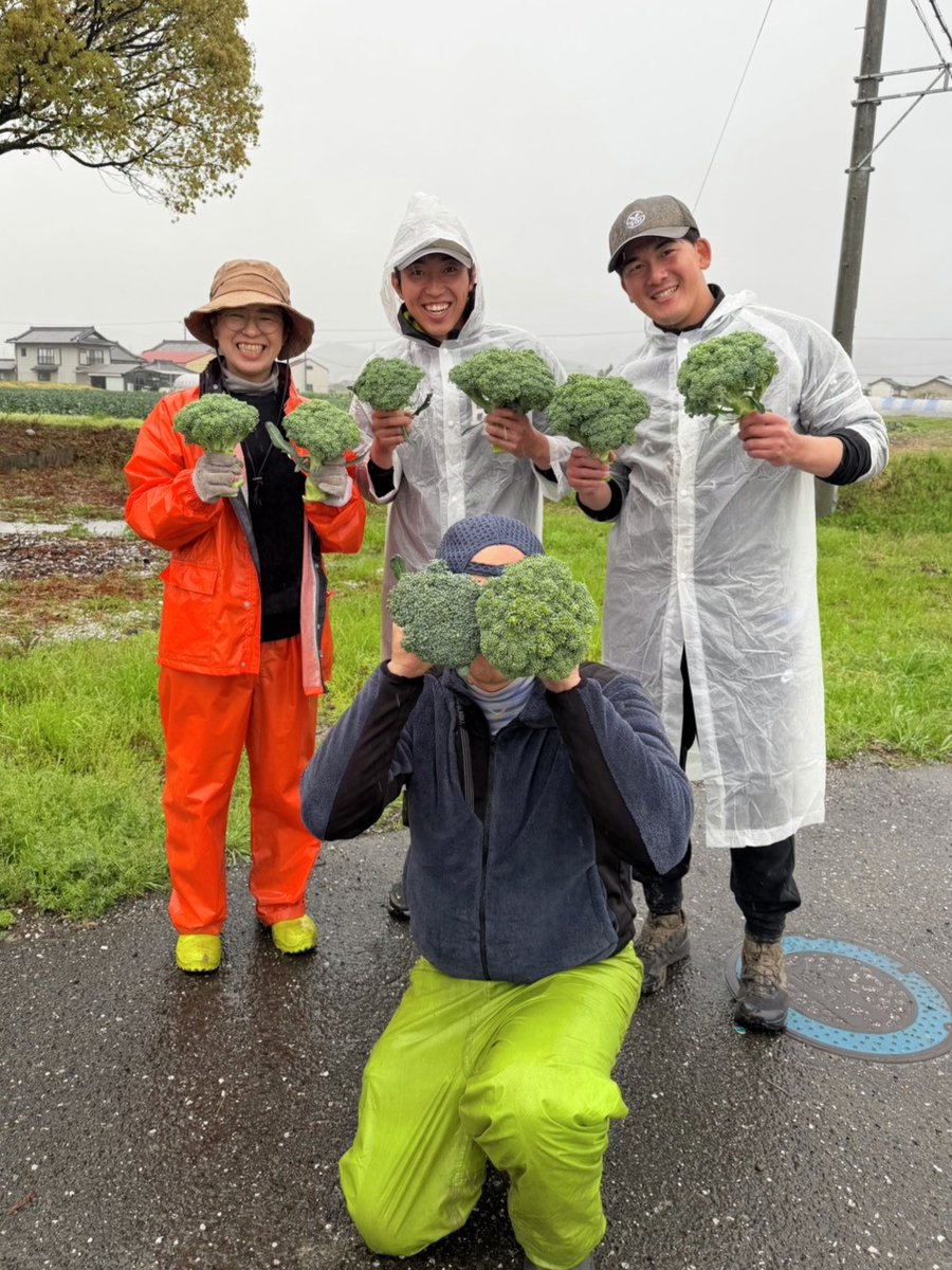 高知ファイティングドッグス ドッキー tweet media