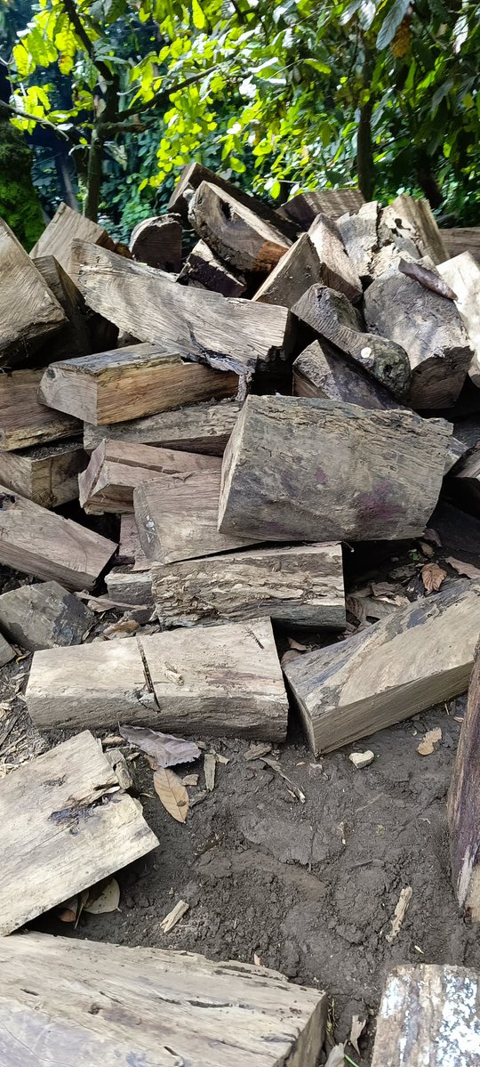 Tangwa Abilu.🌿🌏🌾🍀🍃.SDG's. tweet media