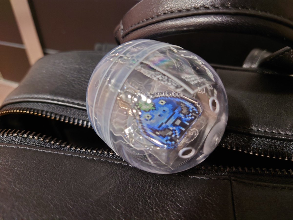 めるびんぬ🧌✨ tweet media