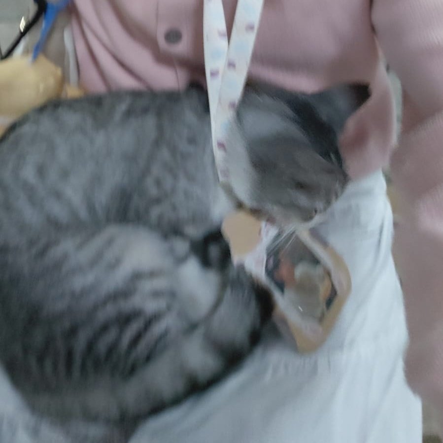 ʚ🐈‍⬛ɞ 𝐤 𝐢 𝐚 ⊹ ₊˚ tweet media