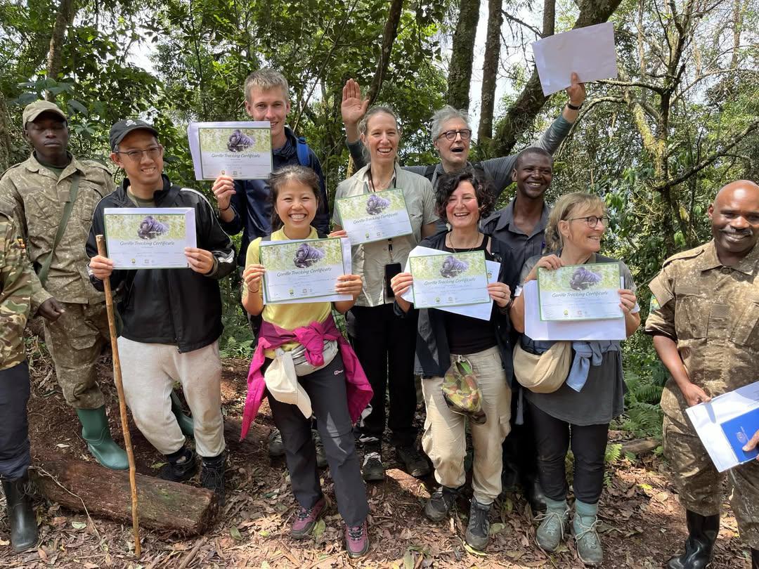 Classic exciting Safaris ltd tweet media