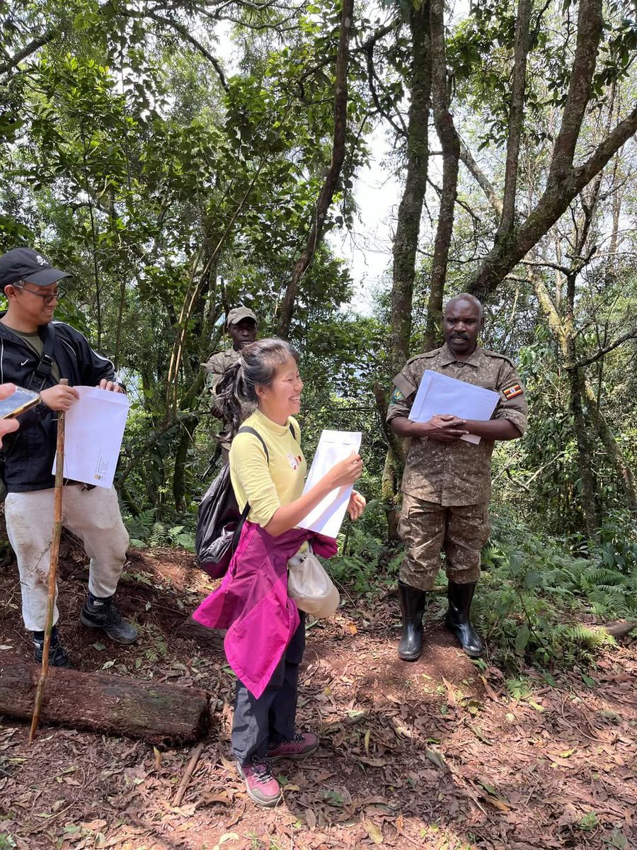 Classic exciting Safaris ltd tweet media