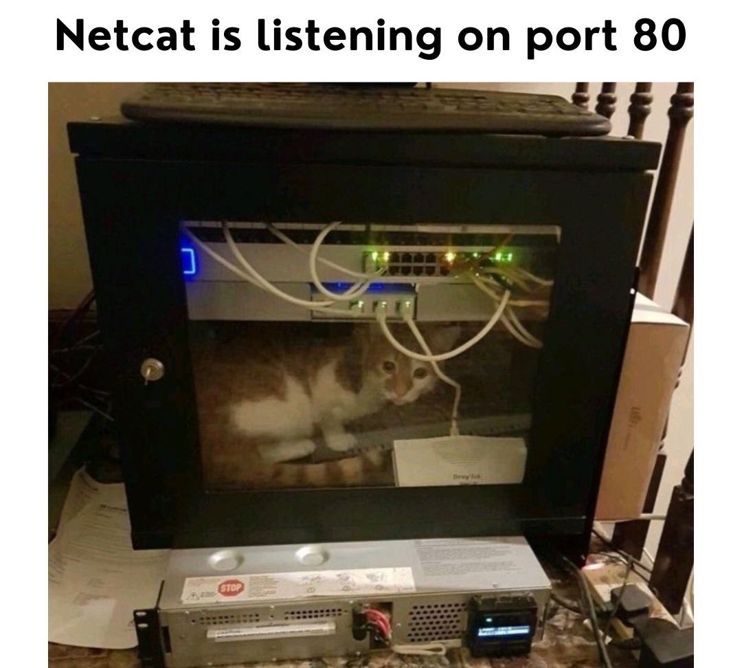 Abdulkadir | Cybersecurity tweet media