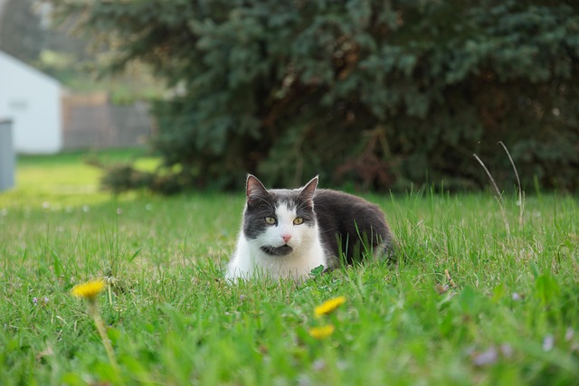 Gregory Campos tweet media