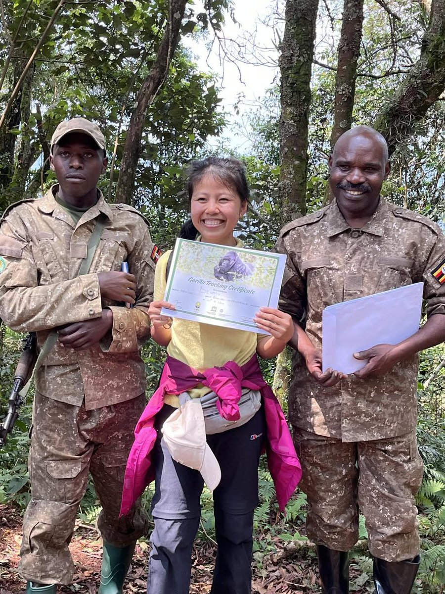 Classic exciting Safaris ltd tweet media