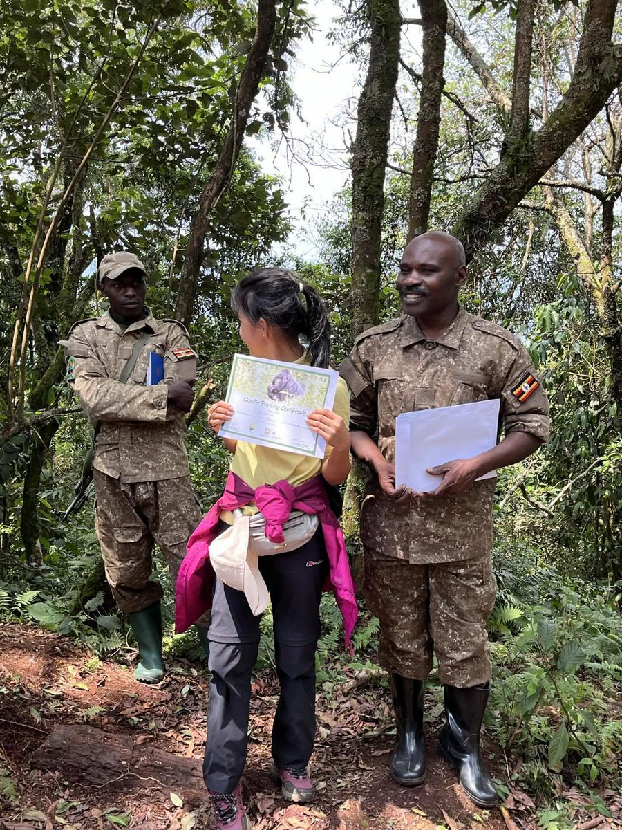 Classic exciting Safaris ltd tweet media